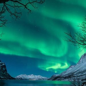 Meet your Posher, Cody